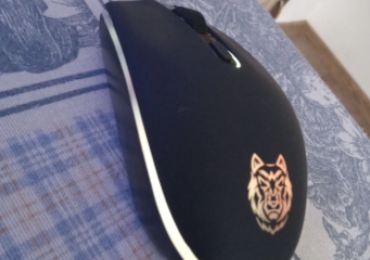 mouse gamin
